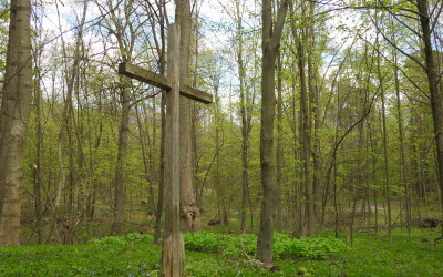 Po wsi Horaj został tylko krzyż, fot. Małgorzata Grabek ZLPK O w Zamościu