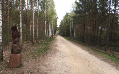 cieżka pieszo-rowerowa w rezerwacie Jata, fot. Zyta Chajkaluk ZLPK O w Białej Podlaskiej