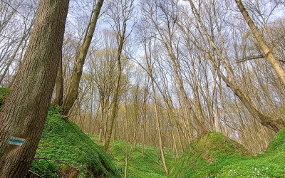 cieżka przyrodniczo-dydaktyczna w Rąblowie, fot. Michał Zieliński ZLPK O w Lubartowie