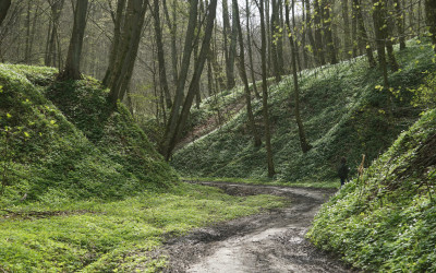 Wąwozy na ścieżce w Rąblowie, fot. Michał Zieliński ZLPK O w Lubartowie