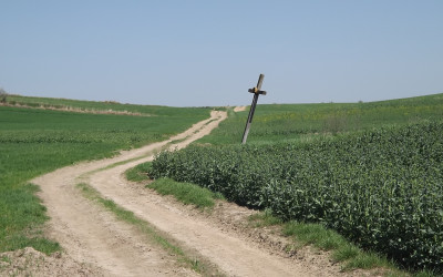 Zapomniany krzyż przy szlaku rowerowym gminy Skierbieszów, fot. Małgorzata Grabek ZLPK O w Zamościu