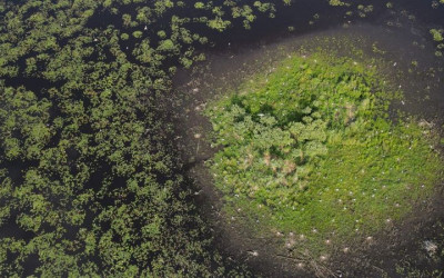 Imielty Ług, fot. Sylwia Odrzywolska ZLPK O Janów Lubelski