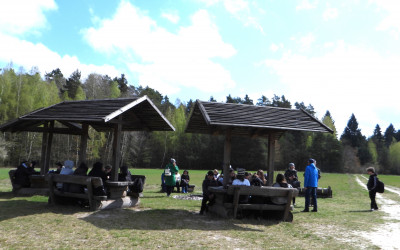 Obraz z galerii