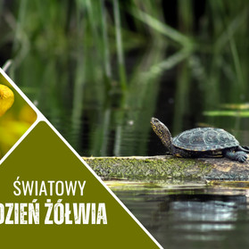 II Światowy Dzień Żółwia z Lubelskimi Parkami Krajobrazowymi
