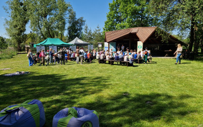 Obraz z galerii