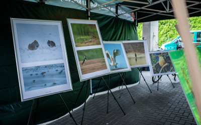 Część wystawy fotograficznej -Natura tu i teraz-