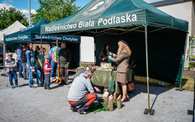Stoisko Nadleśnictwa Biała Podlaska