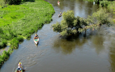 Obraz z galerii