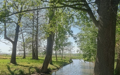 Obraz z galerii