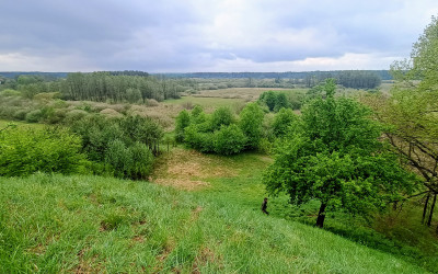 Obraz z galerii