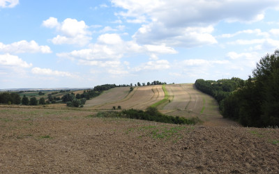 Obraz z galerii