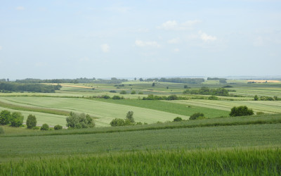 Obraz z galerii