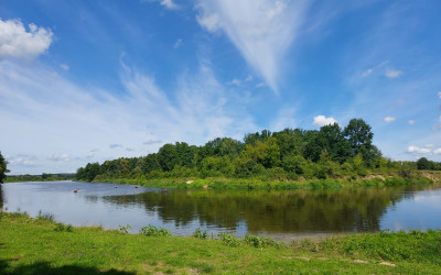 Obraz z galerii