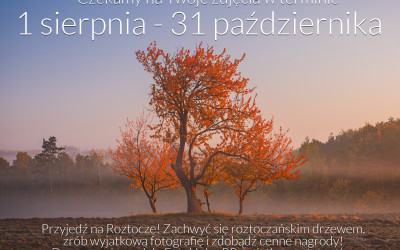 Obraz z galerii