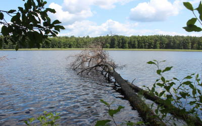 Jezioro Brudzieniec, fot. A. Sulima