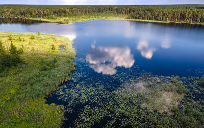 ródleśne jeziora Sobiborskiego Parku Krajobrazowego, fot. Joanna Dragon