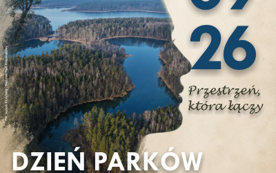 Obraz z galerii