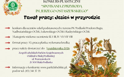Obraz z galerii