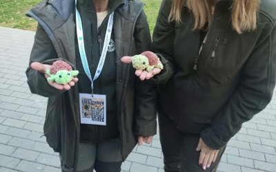 Efekty warsztatów w postaci małych, pluszowych żółwi