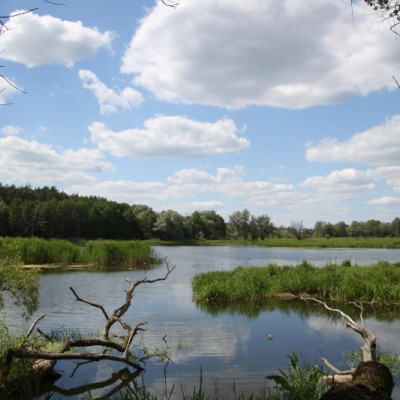 Zapraszamy do udziału w VIII edycji konkursu „Spotkania z przyrodą im. Jerzego Ostaszewskiego”.