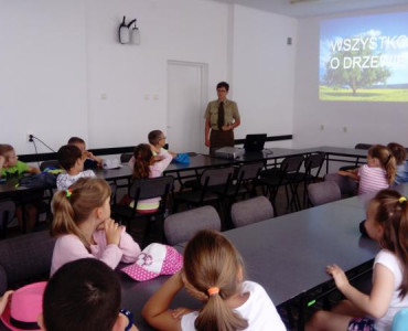 „WSZYSTKO O DRZEWIE” 