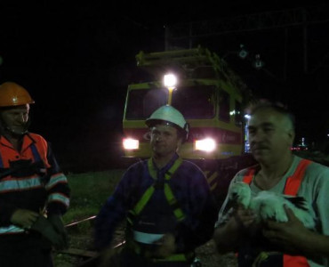 NA RATUNEK BOCIANOWI