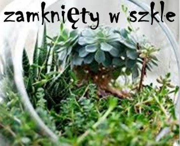 Konkurs „Las zamknięty w szkle”