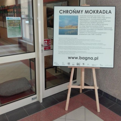 Rozmowy geografów o mokradłach…