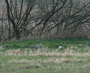 W POSZUKIWANIU WIOSNY  