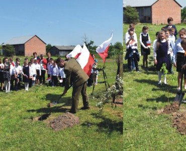 Dąb Niepodległości w Sulmicach