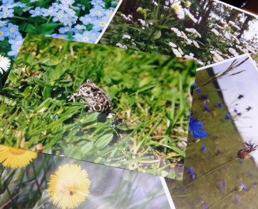 PODSUMOWANIE KONKURSU FOTOGRAFICZNEGO „ PATRZ JAK WSZYSTKO BUDZI SIĘ DO ŻYCIA – WIOSNA W LUBELSKICH PARKACH KRAJOBRAZOWYCH”