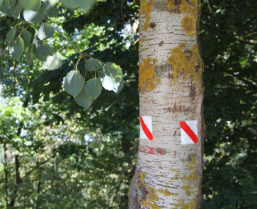 ZNAKOWANIE ŚCIEŻKI I TERENU PARKU