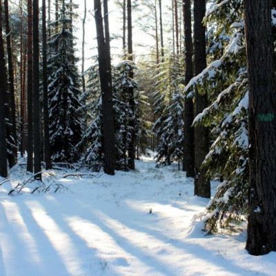 Zimowe migawki z lubelskich parków krajobrazowych.