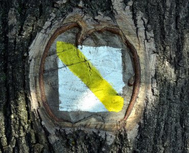 Nowa ścieżka edukacyjna w Krzczonowskim Parku Krajobrazowym