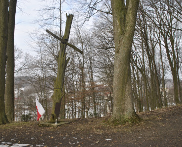 ZAWIŁE ŚCIEŻKI HISTORII