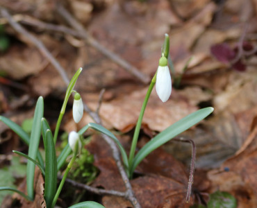 Przedwiośnie w Kazimierskim Parku Krajobrazowym