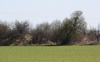 Bunkry na szlaku Linii Mołotowa (3)