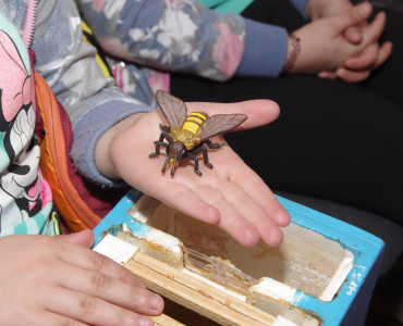„Dni Pszczoły i dzikich zapylaczy 2019”