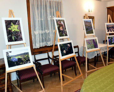 Wystawa „Kwiaty Gór” w Ogrodzie Botanicznym UMCS