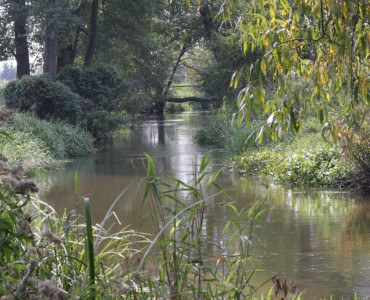 PIĘKNA, PRAWIE NIEZNANA, A NA IMIĘ JEJ SOŁOKIJA
