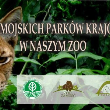 Zwierzęta parków krajobrazowych w zamojskim zoo