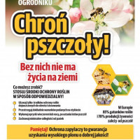 Pobierz: Plakat "Chroń pszczoły bez nich nie ma życia na ziemi"