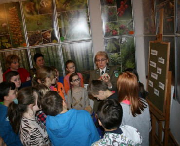 Warsztaty  geologiczne w muzeum