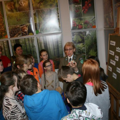 Warsztaty  geologiczne w muzeum