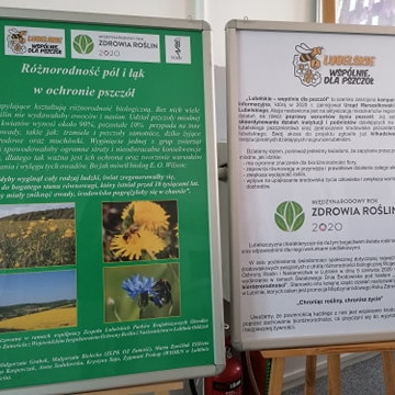Różnorodność pól i łąk w ochronie pszczół - wystawa edukacyjna w ZLPK OZ Zamość.