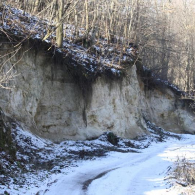 SZLAKIEM GEOPARKU KAMIENNY LAS NA ROZTOCZU – ODSŁONIĘCIE WAPIENI RATYŃSKICH  W DOLINIE RZEKI RADRUŻKI W RADRUŻU