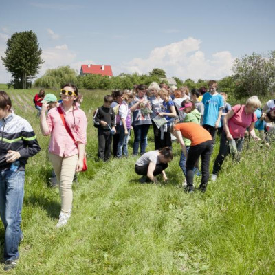 Jak odzwierciedlić piękno natury w fotografii?