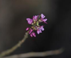 Marzec już o wiośnie marzy