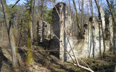 Ruiny papierni w rezerwacie przyrody Czartowe Pole, fot. M. Grabek