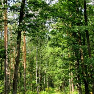 Zapraszamy na wystawę „KOZŁOWIECKI PARK KRAJOBRAZOWY  pejzaż malowany zielenią, złotem i szkarłatem”